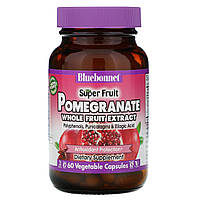 Экстракт плодов граната, Pomegranate Whole Fruit Extract, Bluebonnet Nutrition, 60 кап.