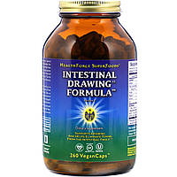 HealthForce Nutritionals, Intestinal Drawing Formula (формула для кишечника) в капсулах, 260 вегетаріанських