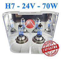 Штатные Лампы цоколь H7 24V Вольт 70W Ватт P43T. Лампы с эффектом ксенона Cool Blue Intense + 100%