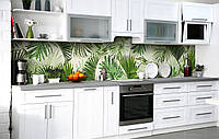 Кухонный фартук Листья Монстеры Пальма ПВХ пленка для декора 600х3000мм Растения Зелёный