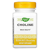 Холин, Nature's Way, 500 мг, 100 таблеток