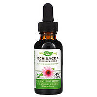 Эхинацея без спирта (Echinacea), Nature's Way, 30 мл.