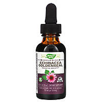 Эхинацея и желтокорень, настойка без спирта, Natures Way, Echinacea Goldenseal, 30 мл