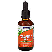 Эхинацея плюс (Echinacea Goldenseal Plus), Now Foods, 60 мл.