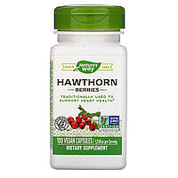 Боярышник, Hawthorn Berries, Nature's Way, 510 мг, 100 капсул
