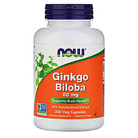 Гинкго Билоба, Ginkgo Biloba, Now Foods, 60 мг, 240 капсул