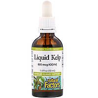 Поддержка щитовидной железы, Liquid Kelp, Natural Factors, 50 мл.
