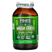 Пророщенная пшеница, пырей, Wheat Grass, Pines International, 280 грамм