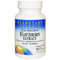 Екстракт глоду, Hawthorn Extract, Planetary Herbals, 550 мг, 60 табл.