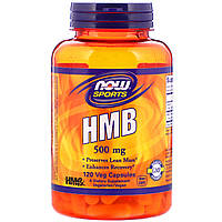 Now Foods, Now Sports, HMB, 500 mg, 120 Veggie Caps