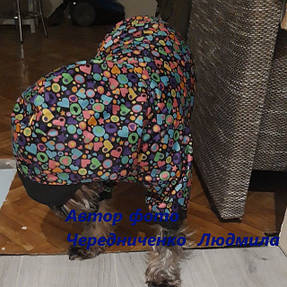 Дождевик для собак M-45 Dogs Bomba