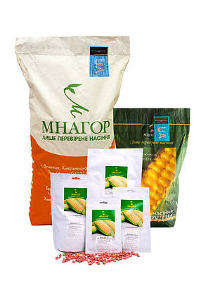 Мармурова кукурудза 1 000нас на 1,8сот біколор Мнагор, Солодка ранньостигле насіння цукрової кукурудзи, фото 2