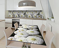 Виниловая наклейка на стол Белоснежные хризантемы декор пленка для мебели 650х1200мм цветы Белый