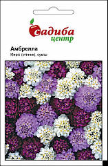 Насіння Іберис Амбрелла, Садиба центр 0.5 г