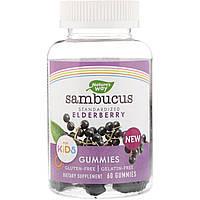 Nature's Way, Sambucus, жевательные таблетки для детей, 60 жевательных таблеток