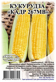 Насіння кукурудзи кормовий Кадр 267 на сидерати 1 кг, Насіння України