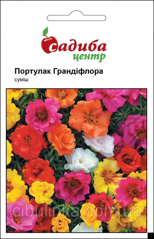 GL Seeds. Насіння Квіти Портулак Борокко-mix. 0.25 г, фото 1