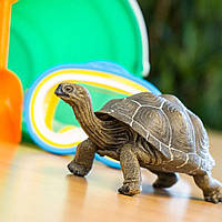Фігурка Safari Ltd Черепаха, Великий Розмір XL, 21,5*12*10 см, "Рептилії", 260729