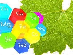 Комплексні коректори живлення та макродобрива LEAF FORTE