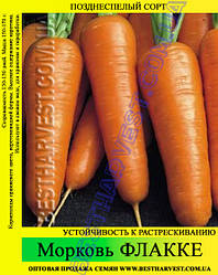 Насіння моркви "Флакке" 1 кг