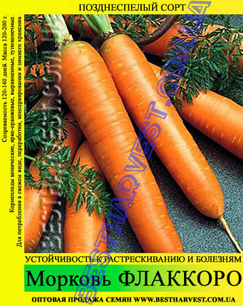 Семена моркови «Флаккоро» 25 кг (мешок), фото 2