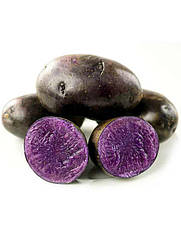 Украина. Картопля насіченої Солоха, фіолетовий, ексклюзив (1 репродукція), 1 кг