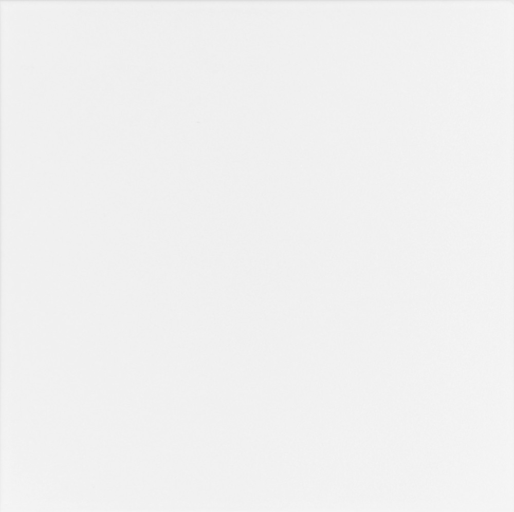 Плитка для підлоги Атем Mono WM 400*400