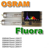 Лампа для растений Osram T8 Fluora G13 L 15W/77 длина 45см(Германия)