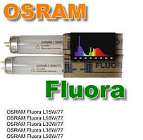 Лампа для рослин Osram T8 Fluora G13 L 15W/77 довжина 45 см (Німеччина)