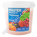 Добриво Master універсальне NPK 13.40.13 1 кг Valagro, фото 3