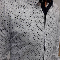 Мужская рубашка с длинным рукавом, батальная серия, приталенная, белая в мелкий листочек, на кнопках