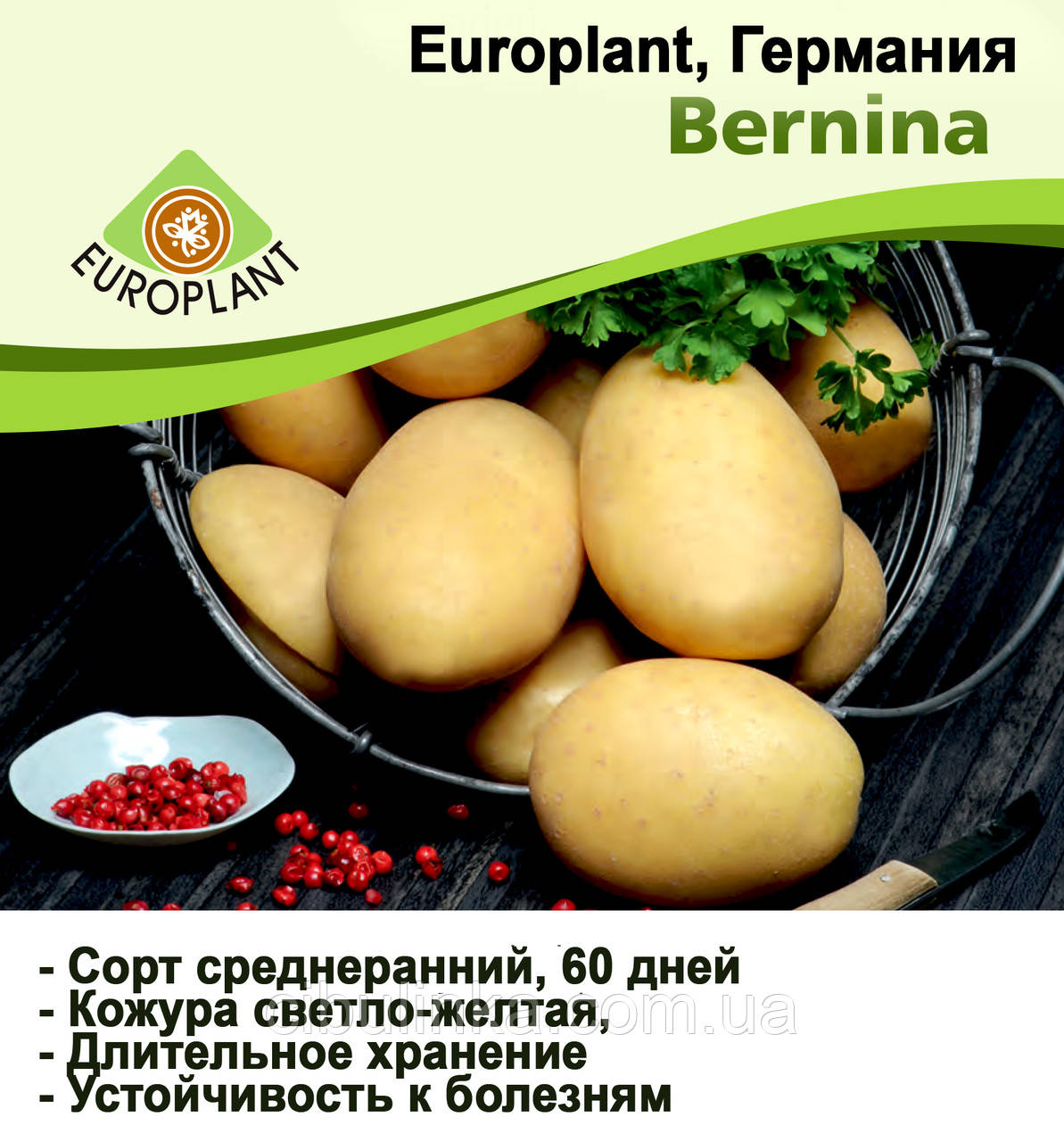Europlant Німеччина. Картопля насінню сорт Берніна середньорань, 1 кг