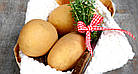 Europlant Німеччина. Картопля насінню сорт Відолія великоплідна середньоранна, 1 кг, фото 2