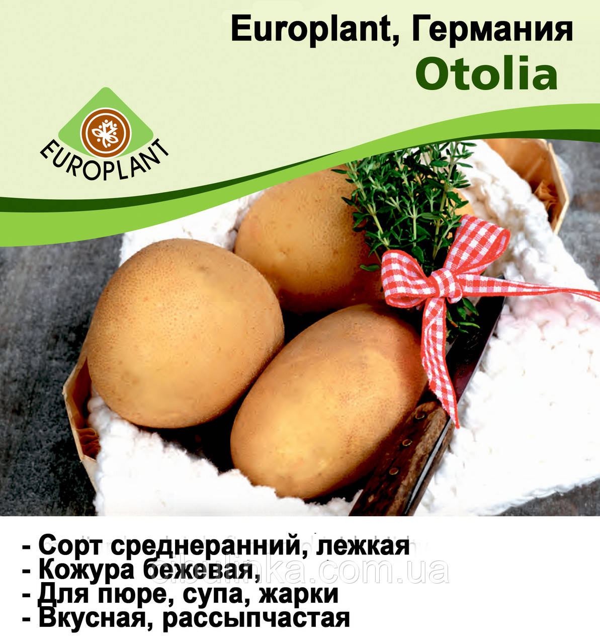 Europlant Німеччина. Картопля насінню сорт Відолія великоплідна середньоранна, 1 кг