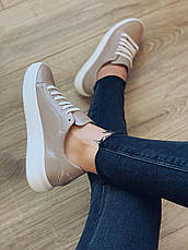 Жіночі шкіряні кеди Ditas Бежеві 41р., фото 3