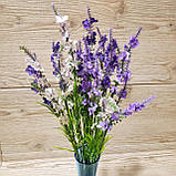 Гілка евкаліпта дрібного - 38 грн (кущ 4 гілки), фото 3