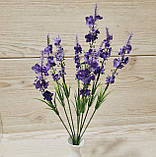 Гілка евкаліпта дрібного - 38 грн (кущ 4 гілки), фото 2