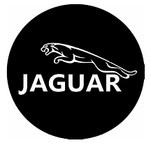Захисні ковпачки на ніпеля JAGUAR (Ягуар) 4 шт Чорні, фото 2