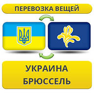 Перевезення Особистої Вії з України в Брюссель