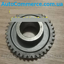 Шестірня 5й передачі проміжного вала 38зуб FAW 1031, ФАВ 1031 (2.54) (2.7), фото 4