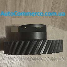 Шестірня 5й передачі проміжного вала 38зуб FAW 1031, ФАВ 1031 (2.54) (2.7), фото 5