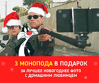 Акція! Конкурс на краще Новорічне Фото домашнього улюбленця!!!!