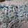 Уцінка.Трусики жіночі бавовняні, тонкі на літо, розмір 44-46, білі в блакитну квітку, різниця, фото 6