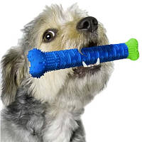 Зубная щетка для собак не содержит фталатов Сhewbrush Dog Dummy Bone Blue/Green