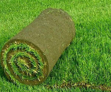 Рулонний газон Універсальний., фото 1