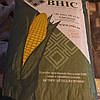 Насіння кукурудзи ВН 6763 -ВНІС (ФАО-320), фото 2