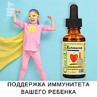 ChildLife, Essentials, эхинацея, натуральный апельсиновый вкус, 30 мл (1 жидк. унция)