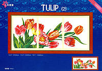 Tulip (2) Тюльпаны. Набор для вышивки крестом DOME 100823