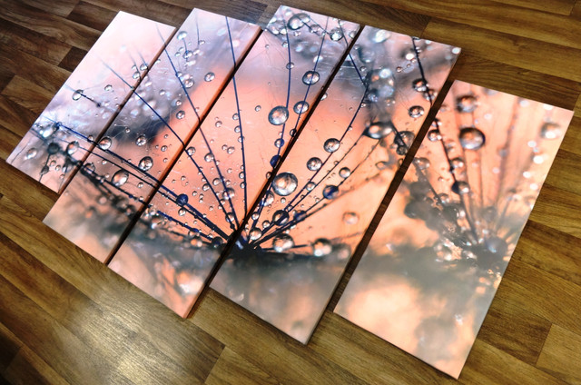 modul'naya-kartina-na-kholste-oduvanchik modul'naya-kartina-na-kholste-oduvanchik