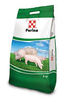 Концентрат для свиноматок Purina 8/18% (20040)
